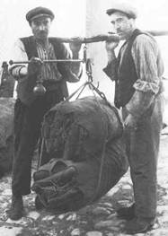  Image name: 31 Carbonai.jpg 
 width: 187 pixel 
 height: 263 pixel 
 Size: 8832 bytes 
 Click to enlarge 